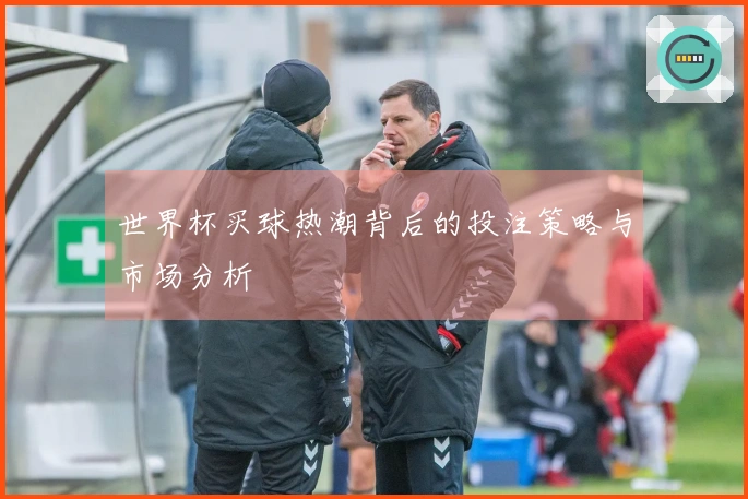世界杯买球热潮背后的投注策略与市场分析