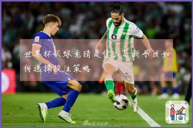 世界杯买球竞猜是什么？新手该如何选择投注策略