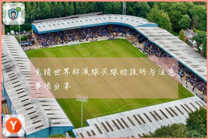 竞猜世界杯滚球买球的技巧与注意事项分享