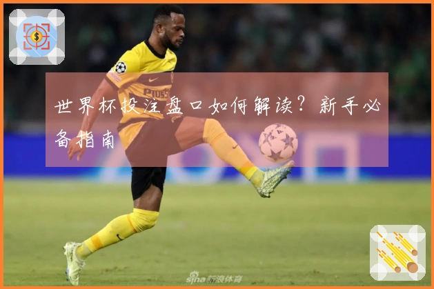 世界杯投注盘口如何解读？新手必备指南